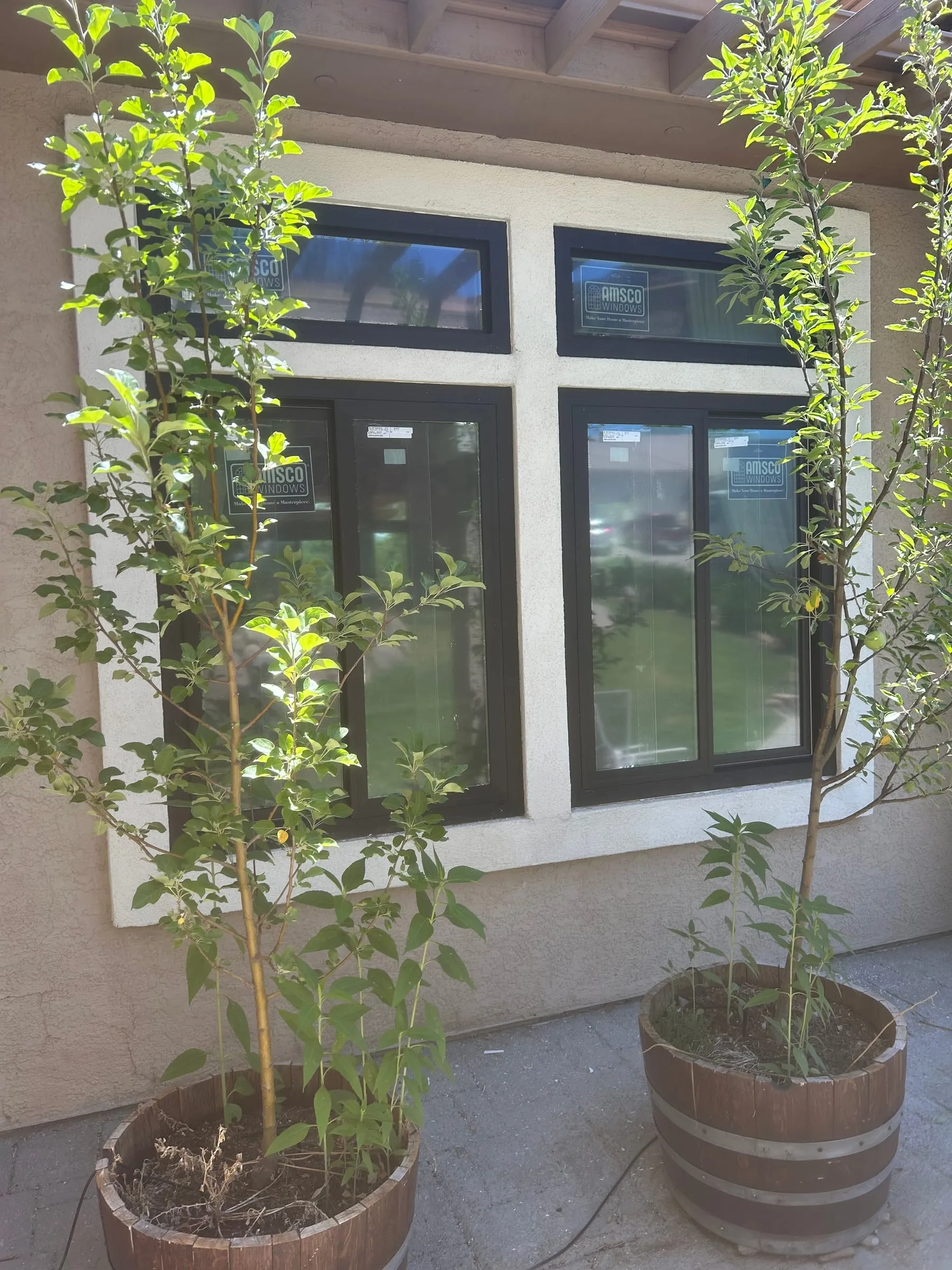 New black-frame replacement windows installed on a stucco home in Reno